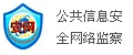 公共信息安全網絡監察